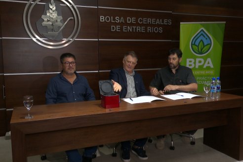 BolsaCER: Presentación del Laboratorio para la detección de enfermedades transmitidas por la Dalbulus Maidis