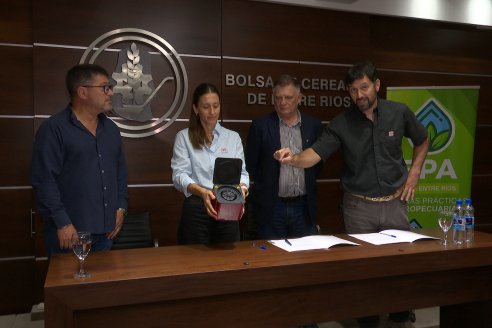 BolsaCER: Presentación del Laboratorio para la detección de enfermedades transmitidas por la Dalbulus Maidis