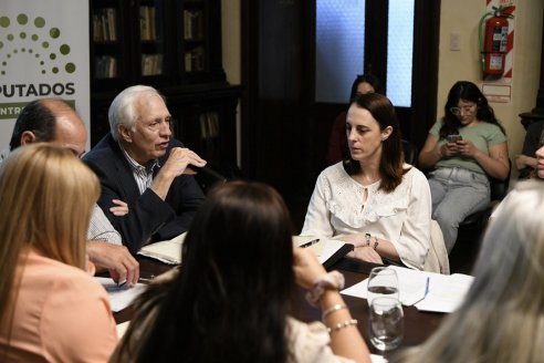 Diputados debaten la creación de la agencia de exportaciones