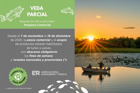 Bajaron 60% el cupo de extracción de pescado hasta fin de año
