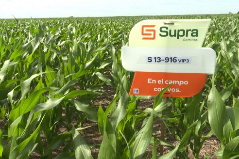 Reunión Regional Litoral de Distribuidores de SUPRA Semillas - Crespo, Entre Ríos