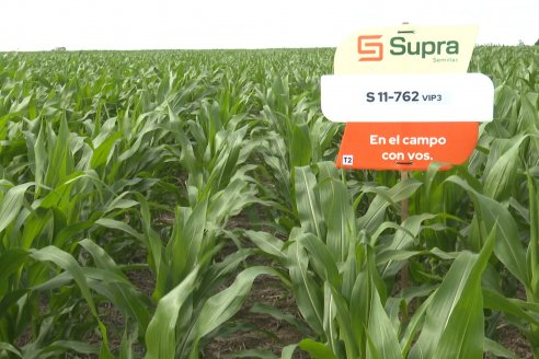 Reunión Regional Litoral de Distribuidores de SUPRA Semillas - Crespo, Entre Ríos