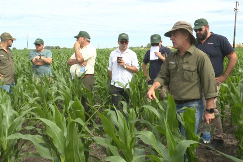 Reunión Regional Litoral de Distribuidores de SUPRA Semillas - Crespo, Entre Ríos