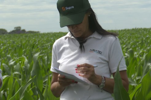 Reunión Regional Litoral de Distribuidores de SUPRA Semillas - Crespo, Entre Ríos