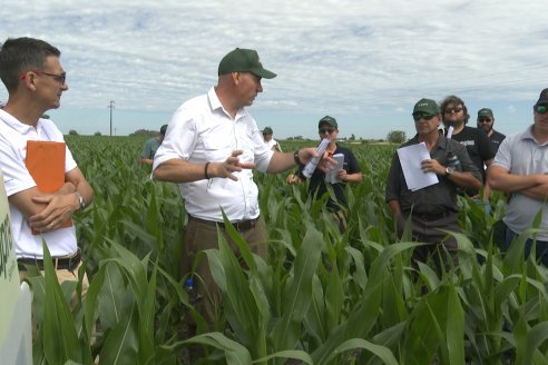 Reunión Regional Litoral de Distribuidores de SUPRA Semillas - Crespo, Entre Ríos
