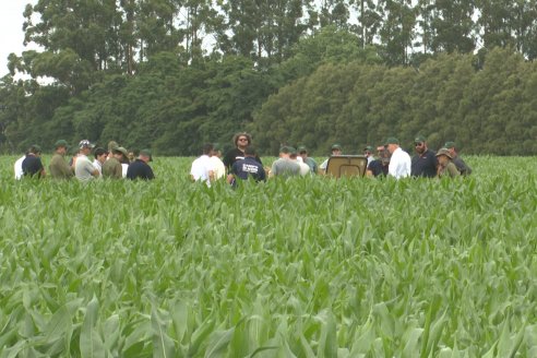 Reunión Regional Litoral de Distribuidores de SUPRA Semillas - Crespo, Entre Ríos