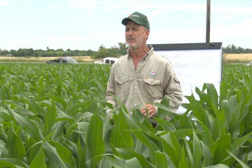 Reunión Regional Litoral de Distribuidores de SUPRA Semillas - Crespo, Entre Ríos