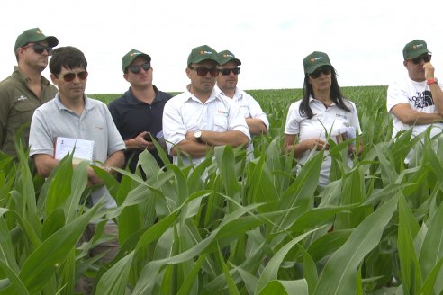 Reunión Regional Litoral de Distribuidores de SUPRA Semillas - Crespo, Entre Ríos