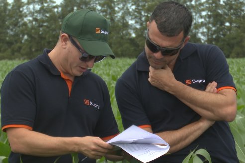 Reunión Regional Litoral de Distribuidores de SUPRA Semillas - Crespo, Entre Ríos