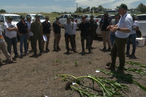 Reunión Regional Litoral de Distribuidores de SUPRA Semillas - Crespo, Entre Ríos