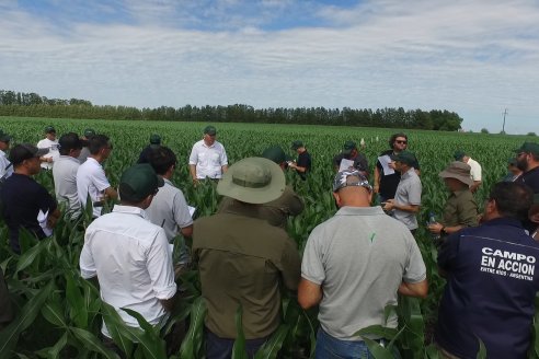 Reunión Regional Litoral de Distribuidores de SUPRA Semillas - Crespo, Entre Ríos