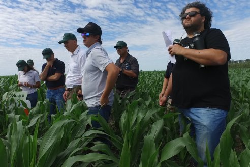 Reunión Regional Litoral de Distribuidores de SUPRA Semillas - Crespo, Entre Ríos