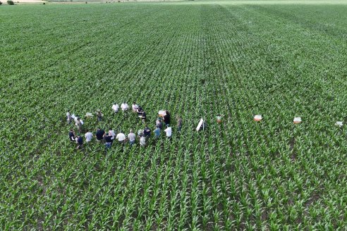 Reunión Regional Litoral de Distribuidores de SUPRA Semillas - Crespo, Entre Ríos