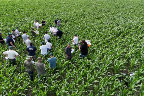Reunión Regional Litoral de Distribuidores de SUPRA Semillas - Crespo, Entre Ríos