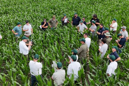Reunión Regional Litoral de Distribuidores de SUPRA Semillas - Crespo, Entre Ríos