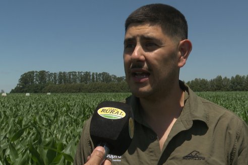 Reunión Regional Litoral de Distribuidores de SUPRA Semillas - Crespo, Entre Ríos