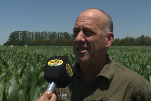 Reunión Regional Litoral de Distribuidores de SUPRA Semillas - Crespo, Entre Ríos