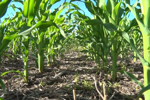 Visita a la Coop. Agric. Ganadera Aranguren Ltda.