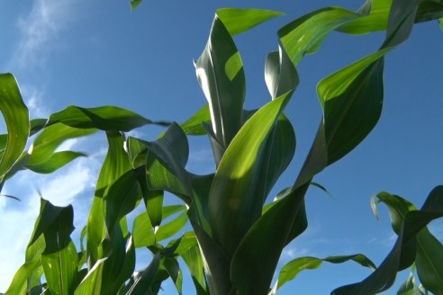 Visita a la Coop. Agric. Ganadera Aranguren Ltda.