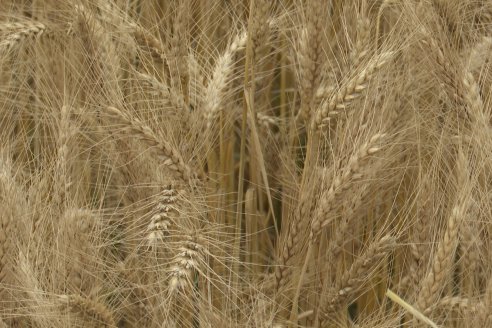 Visita a la Coop. Agric. Ganadera Aranguren Ltda.