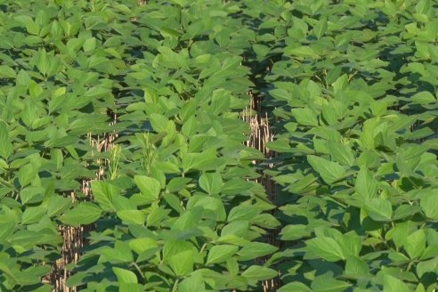 Visita a la Coop. Agric. Ganadera Aranguren Ltda.