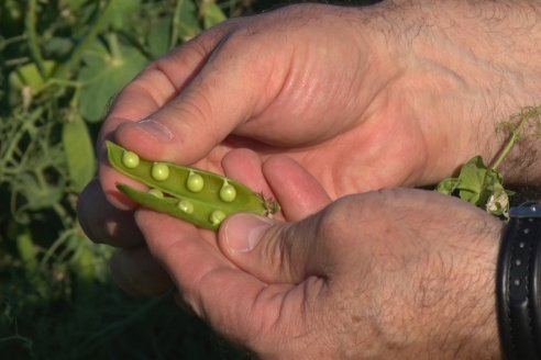 Visita a la Coop. Agric. Ganadera Aranguren Ltda.