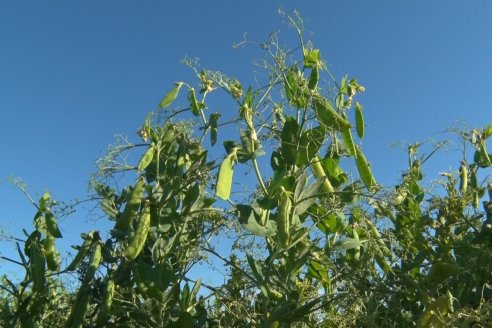 Visita a la Coop. Agric. Ganadera Aranguren Ltda.
