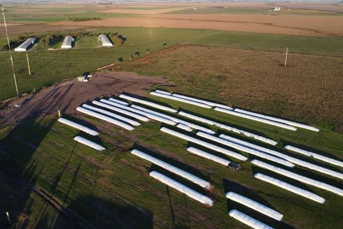 Visita a la Coop. Agric. Ganadera Aranguren Ltda.