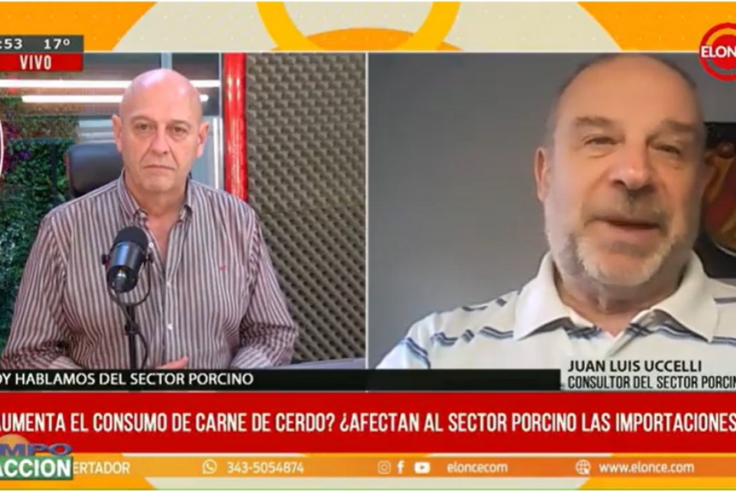 ¿Afectan al sector porcino las importaciones?