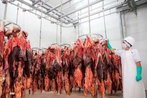 Arrancó la venta de vísceras y subproductos de origen animal a Chile