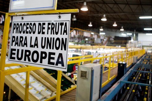Se duplicaron las exportaciones de cítricos a la Unión Europea