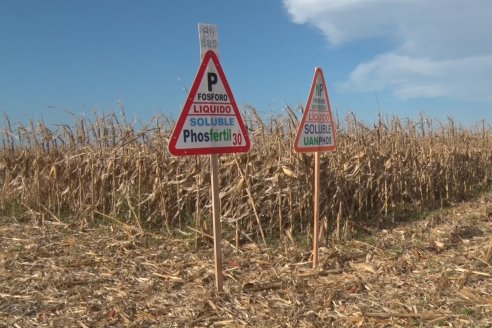 Mano a Mano: Orlando 