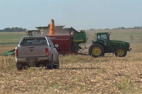 Mano a Mano: Orlando 