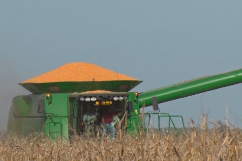 Mano a Mano: Orlando 