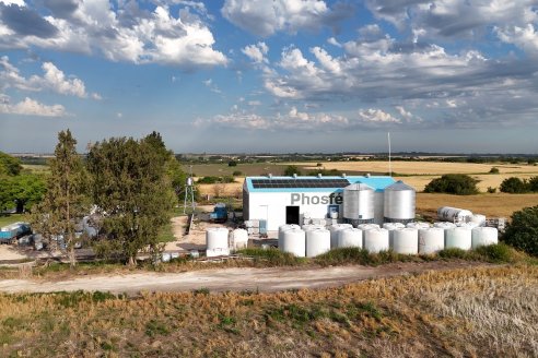 Mano a Mano: Orlando 