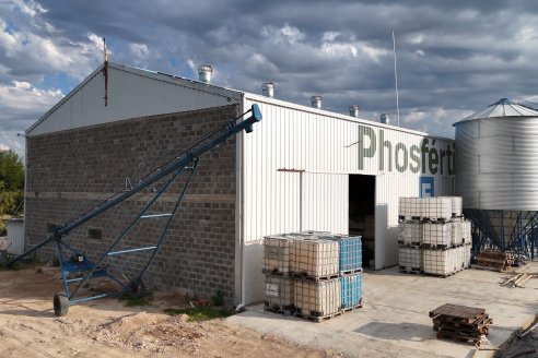 Mano a Mano: Orlando 