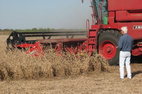 Mano a Mano: Orlando 