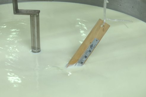 8° Curso de Realización de Quesos en el Centro de Capacitación Agrolac Paraná