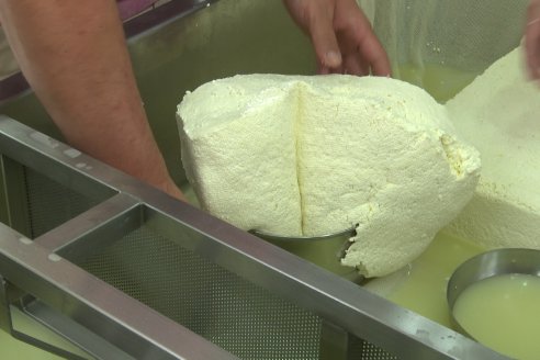 8° Curso de Realización de Quesos en el Centro de Capacitación Agrolac Paraná