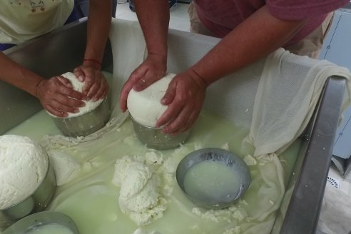 8° Curso de Realización de Quesos en el Centro de Capacitación Agrolac Paraná