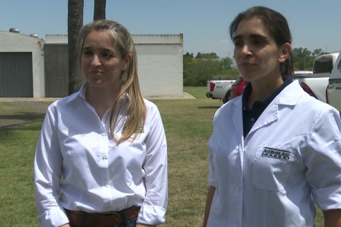 8° Curso de Realización de Quesos en el Centro de Capacitación Agrolac Paraná