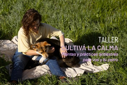 Taller para fomentar el bienestar de personas y animales