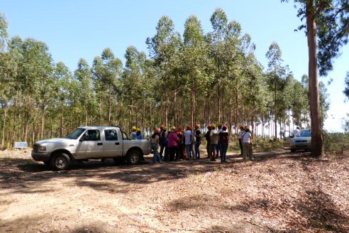 Tour Productivo de la Asociacion Entrerriana de Periodistas Agropecuarios(AEPA) al Campo Experimental El Alambrado, Inta Concordia