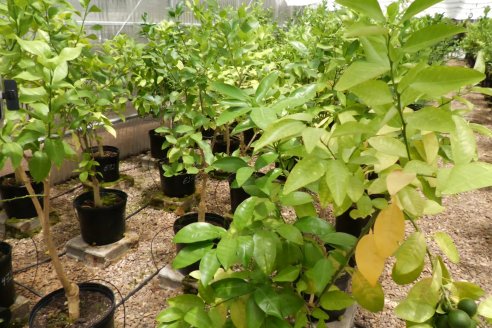 Tour Productivo de la Asociacion Entrerriana de Periodistas Agropecuarios(AEPA) al Campo Experimental El Alambrado, Inta Concordia