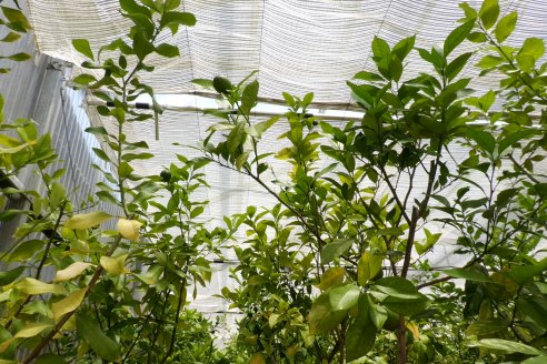 Tour Productivo de la Asociacion Entrerriana de Periodistas Agropecuarios(AEPA) al Campo Experimental El Alambrado, Inta Concordia