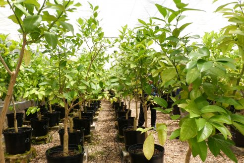 Tour Productivo de la Asociacion Entrerriana de Periodistas Agropecuarios(AEPA) al Campo Experimental El Alambrado, Inta Concordia
