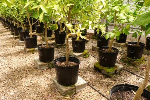 Tour Productivo de la Asociacion Entrerriana de Periodistas Agropecuarios(AEPA) al Campo Experimental El Alambrado, Inta Concordia