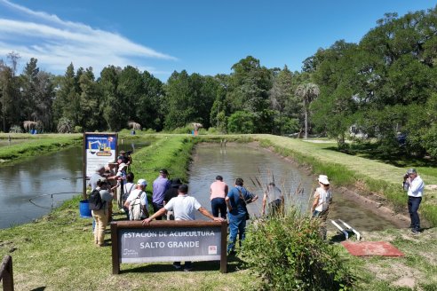 Tour Productivo de la Asociacion Entrerriana de Periodistas Agropecuarios(AEPA) al Campo Experimental El Alambrado, Inta Concordia