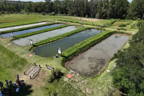 Tour Productivo de la Asociacion Entrerriana de Periodistas Agropecuarios(AEPA) al Campo Experimental El Alambrado, Inta Concordia