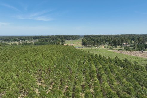 Tour Productivo de la Asociacion Entrerriana de Periodistas Agropecuarios(AEPA) al Campo Experimental El Alambrado, Inta Concordia